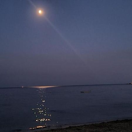 Le Tamaya Plage Charmant T2 En Rez De Jardin A 2 Pas D Une Belle Plage De Toutes Commodites Et Centre Ville Port 滨海卡瓦莱尔 外观 照片