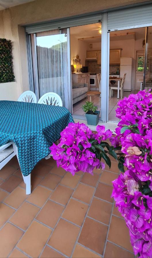 Le Tamaya Plage Charmant T2 En Rez De Jardin A 2 Pas D Une Belle Plage De Toutes Commodites Et Centre Ville Port 滨海卡瓦莱尔 外观 照片