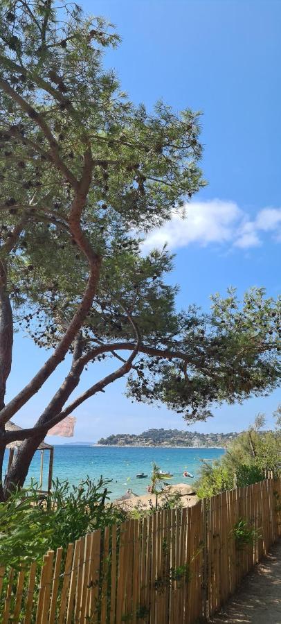 Le Tamaya Plage Charmant T2 En Rez De Jardin A 2 Pas D Une Belle Plage De Toutes Commodites Et Centre Ville Port 滨海卡瓦莱尔 外观 照片